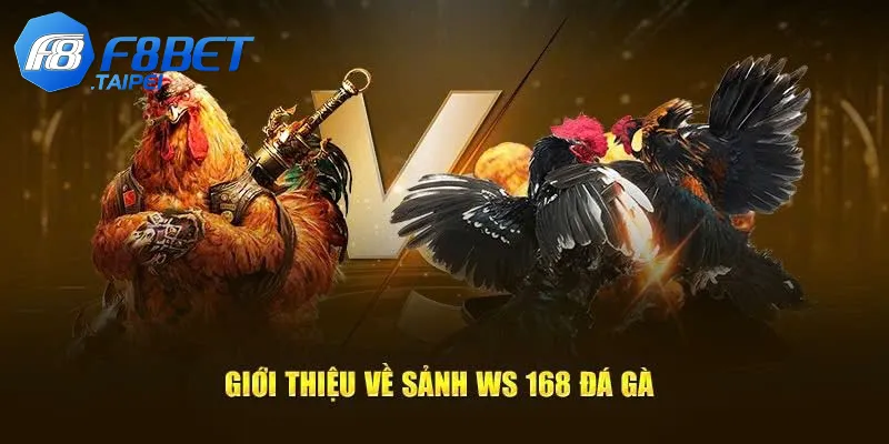 Sảnh đá gà WS168 hàng đầu, cá cược đỉnh cao cùng F8BET 2 Thông tin về sảnh đá gà WS168